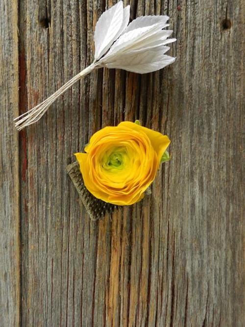 YELLOW RANUNCULUS